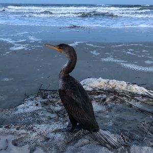 Meet your Posher, Ethan